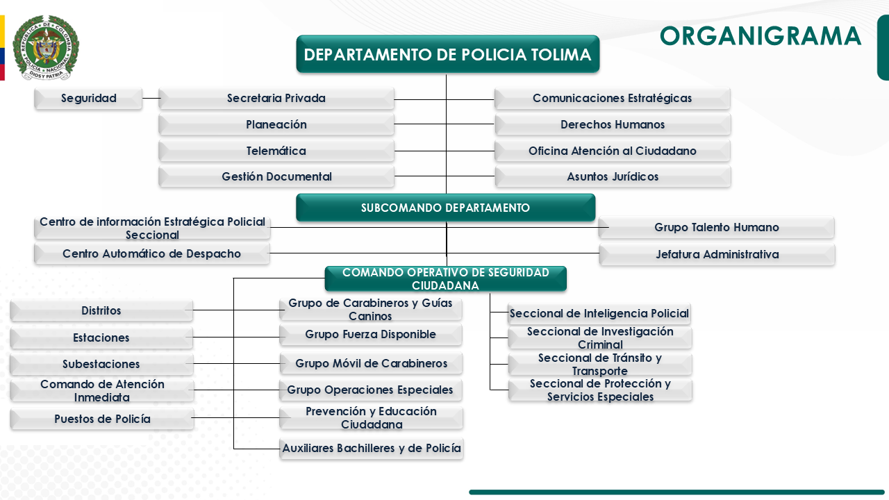 Organigrama DETOL