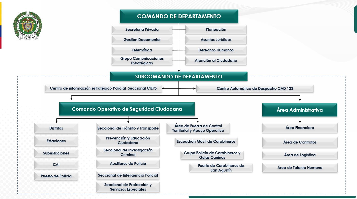 Organigrama Departamento
