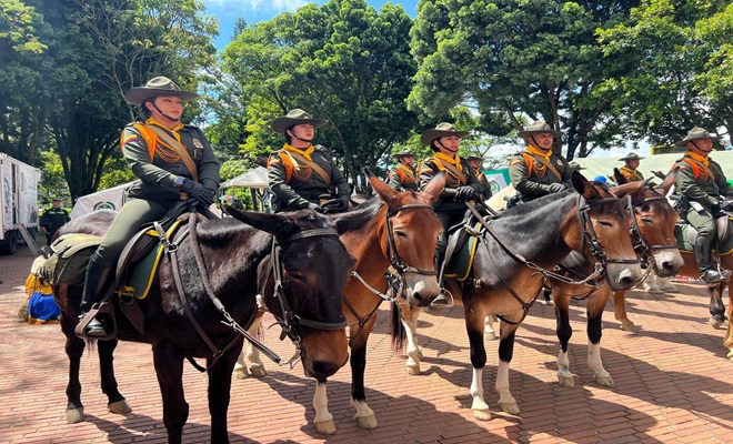 Direcci&oacute;n de Carabineros y Protecci&oacute;n Ambiental