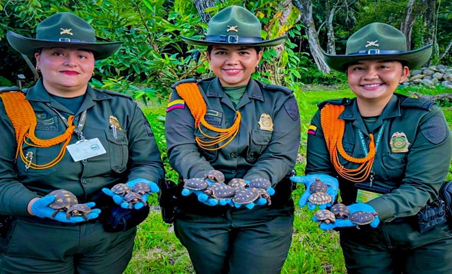 Direcci&oacute;n de Carabineros y Protecci&oacute;n Ambiental