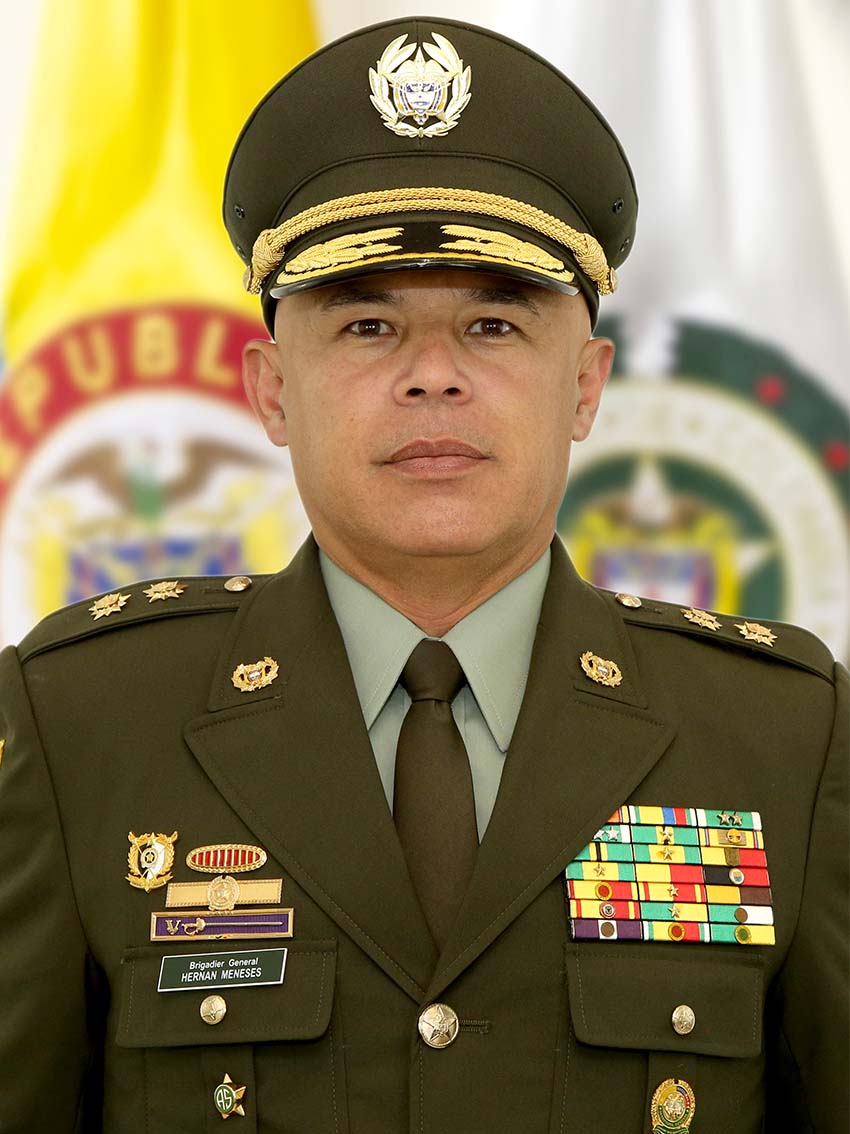 Hernán Alonso Meneses Gelves