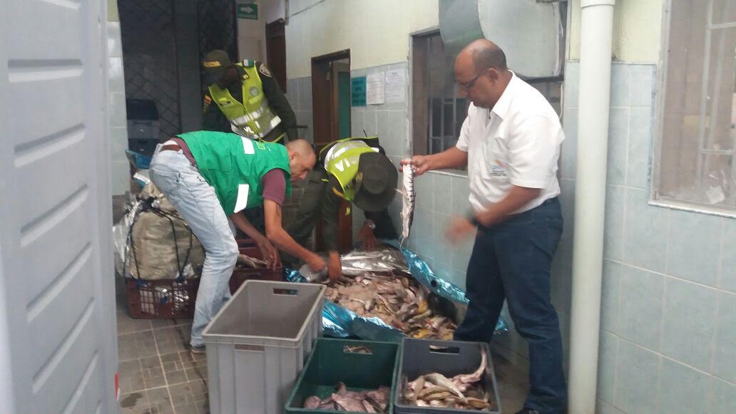Acciones de control permitieron la incautación de gran cantidad de pescado