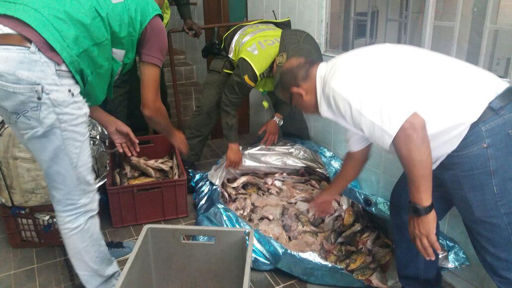 Acciones de control permitieron la incautación de gran cantidad de pescado