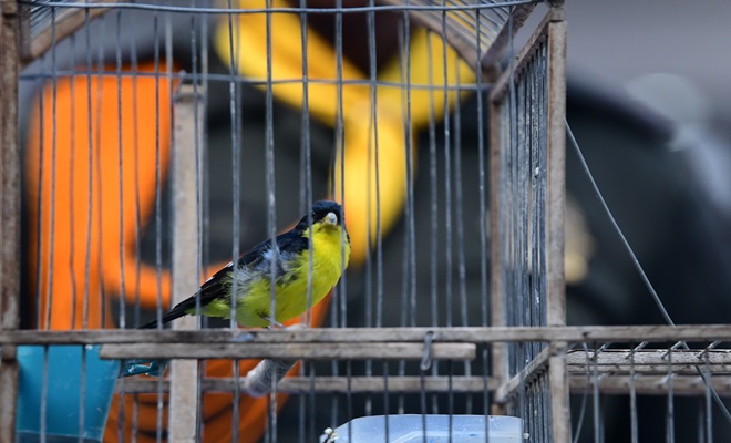 1 sinsonte recuperado