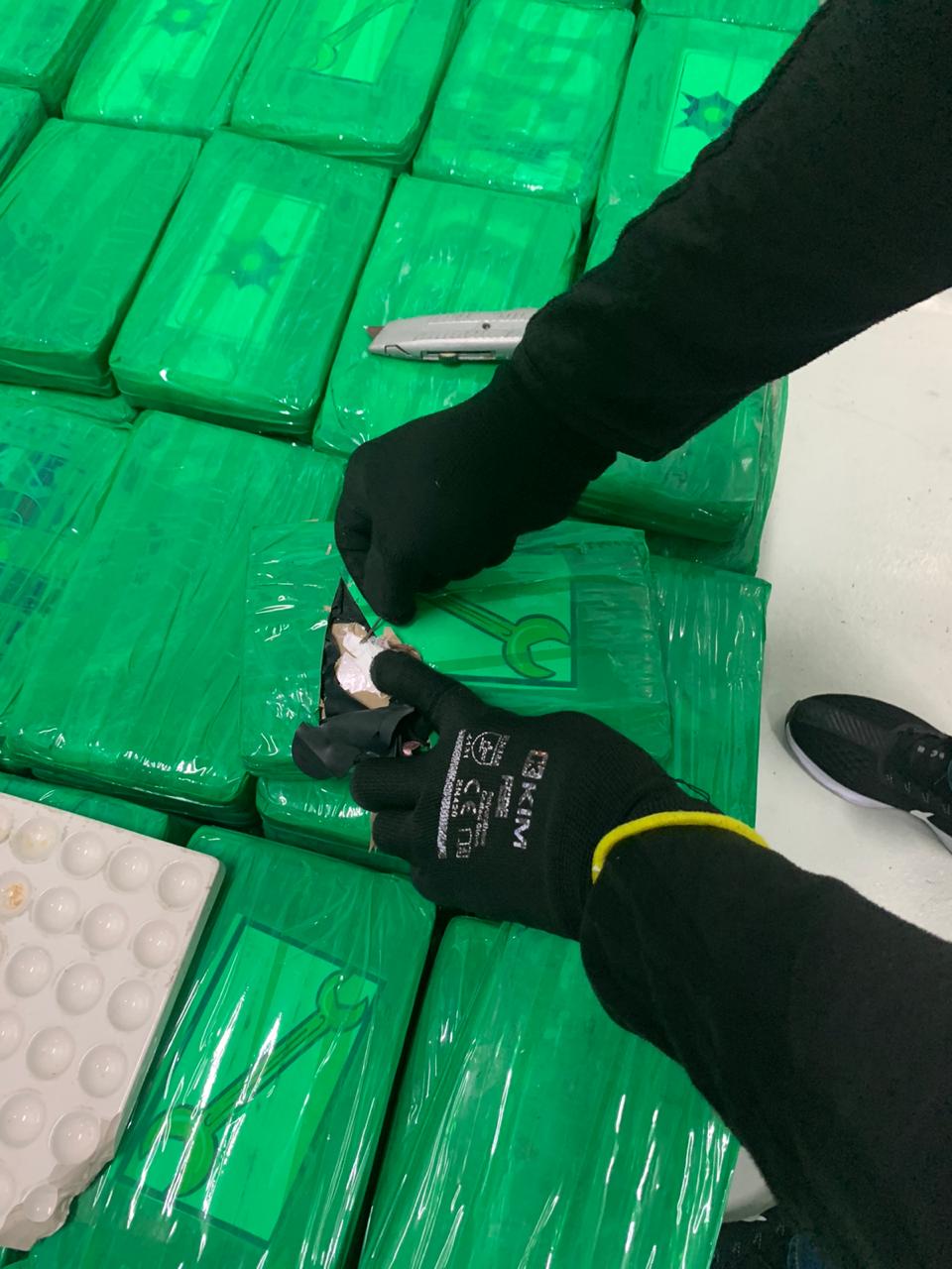 Frustramos envío de drogas ilícitas a Bélgica