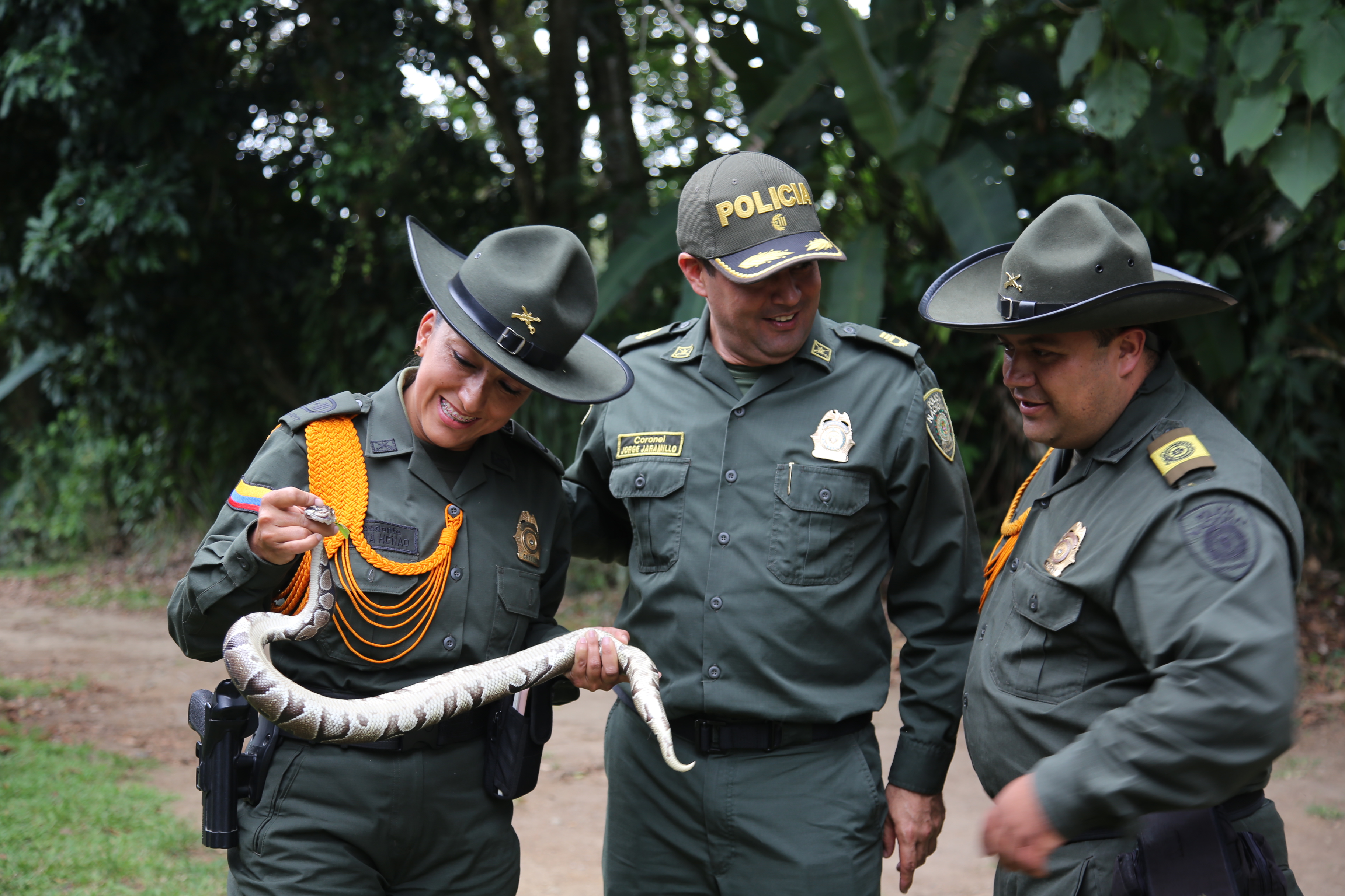 especie_disposicion_corpocaldas