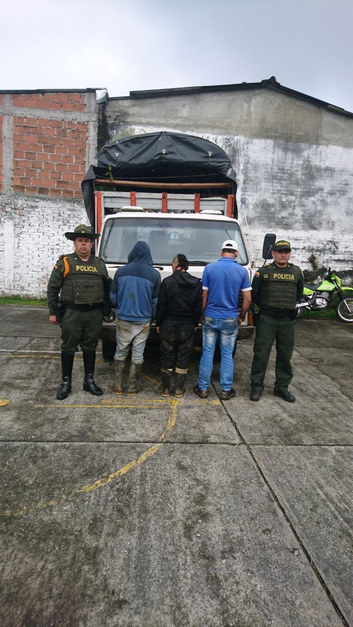 En la veredad planadas del municipio de Calarcá se habían hurtado varias cabezas de ganado.