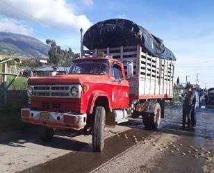 Ganado incautado por inconsistencias en documentación