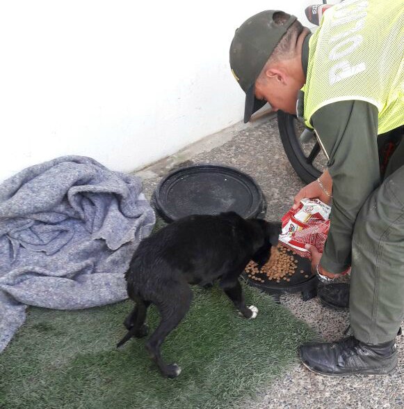 Valeroso-rescate-de-mascota-atrapada-en-alcantarilla-4
