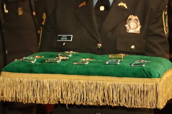 Medallas servicios distinguidos 