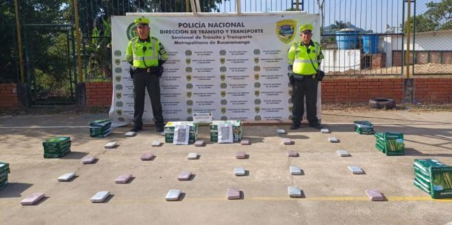 Incautada narco encomienda con más de 15.000 gramos de marihuana tipo cripy