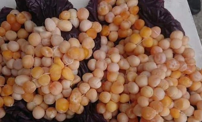 233 huevos de iguana listos para su distribución y comercialización.