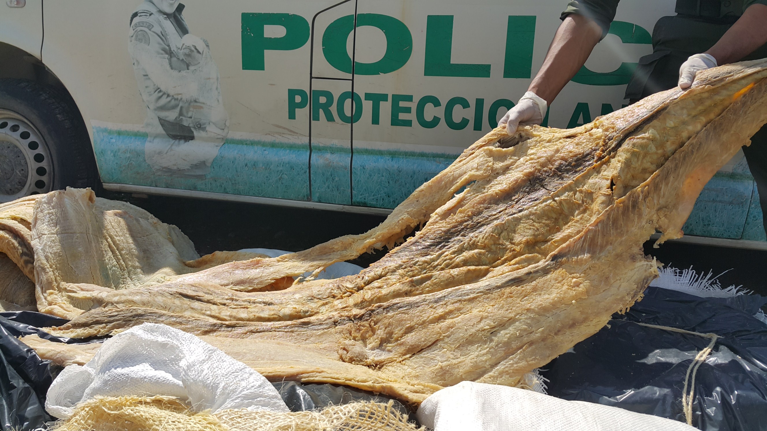 Policía realiza control de pesca