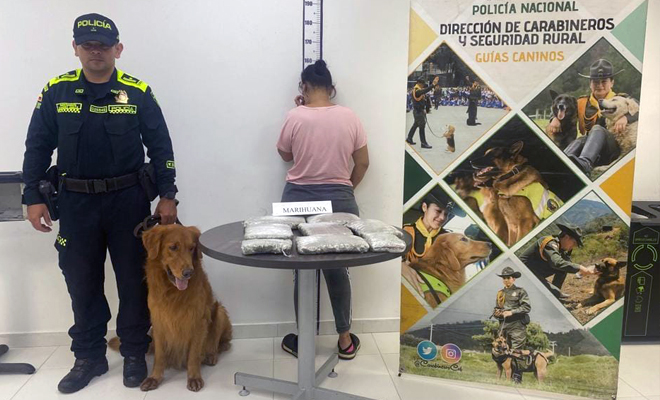 El alucinógeno provenía de Bogotá y tenía como destino el barrio Villa Suárez, comuna cuatro de la capital del Meta.