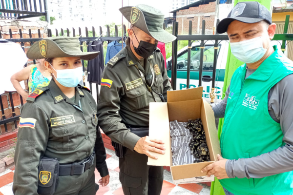 Polica ambiental con pisingos 