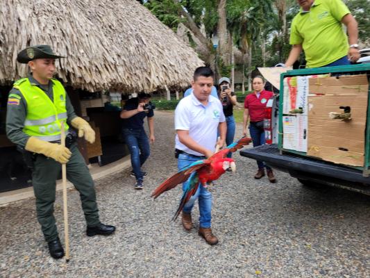 32 especies de animales silvestres fueron rescatados y liberados en hábitat natural_2