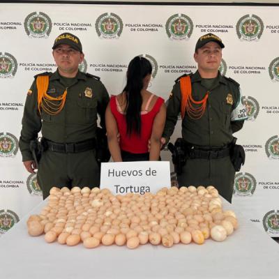 Capturada en flagrancia por aprovechamiento ilícito de recursos naturales renovables en Inírida