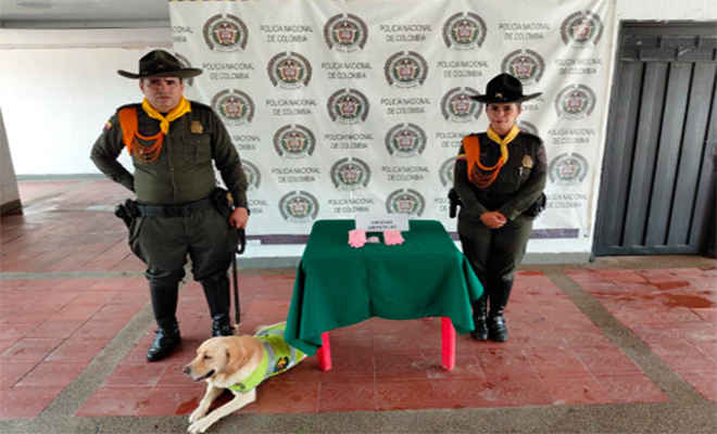 Dos polic&iacute;as junto con un perro y estupefacientes incautado
