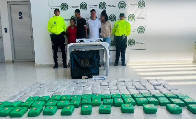 Más de 60 mil dosis de marihuana incautadas.