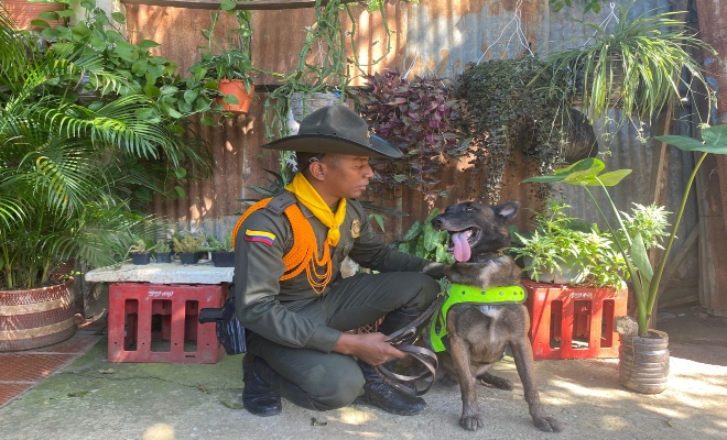 Es un compañero en el que confío completamente. Lo entrenamos juntos, y con cada día que pasa, nuestra conexión se fortalece