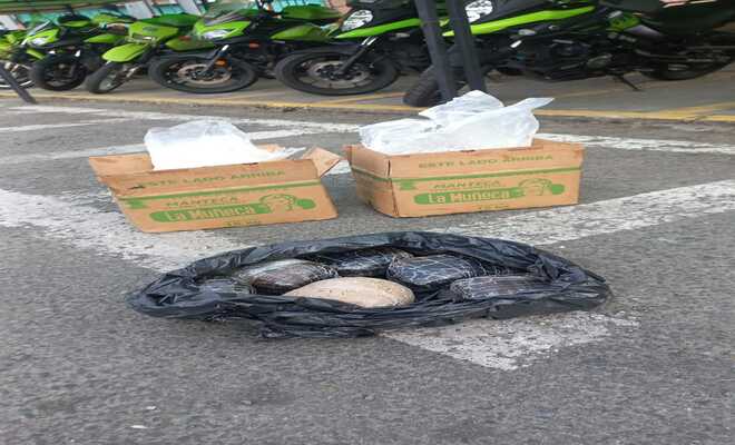 Frustran tráfico de drogas 