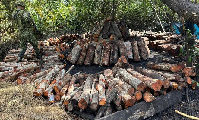 Ciudadano ocasionó graves daños ambientales en Tumaco