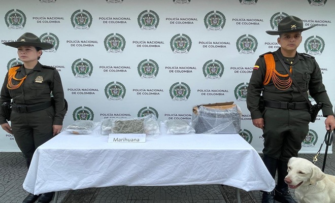 Gracias al canino Axel se incautan cinco paquetes de marihuana en Manizales