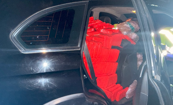 compromiso abnegado y profesionalismo 