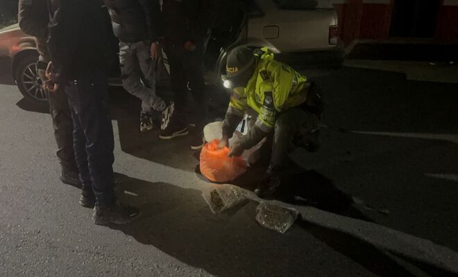 Incautan estupefacientes