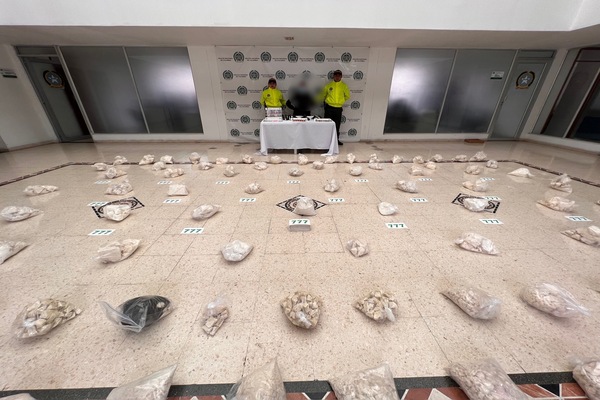 Incautan estupefacientes 