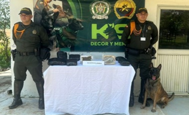 incautacion de estupefacientes por parte de la SECAR 