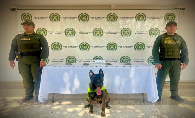 Incautación de estupefacientes en el malecón de Neiva