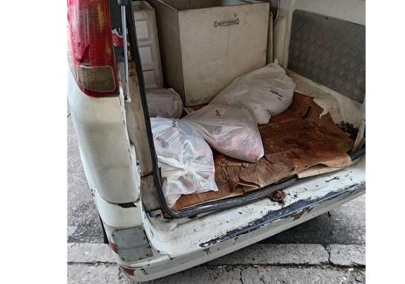 Incautados por incumplir protocolo de almacenamiento 