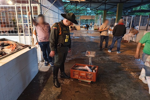 Policía realiza pesaje del pescado incautado como parte del procedimiento