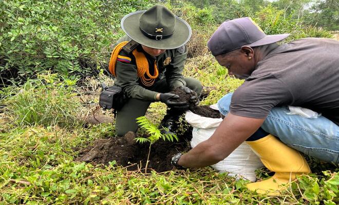 Jornada de siembra en Tumaco