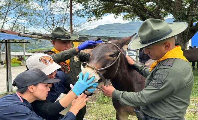 Desarrolló de una jornada integral de bienestar animal que benefició a familias campesinas del corregimiento El Hatillo