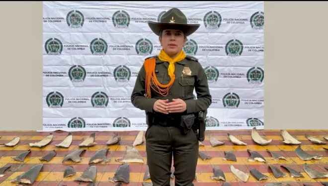 Yo Protejo El Ambiente 