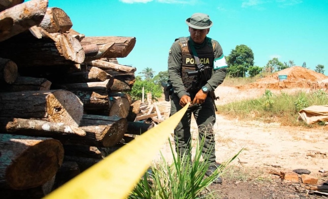 La deforestación, la expansión agrícola no sostenible, afectan los ecosistemas