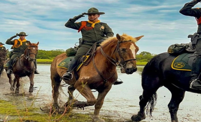 No había documentos que firmar, ni protocolos extensos.