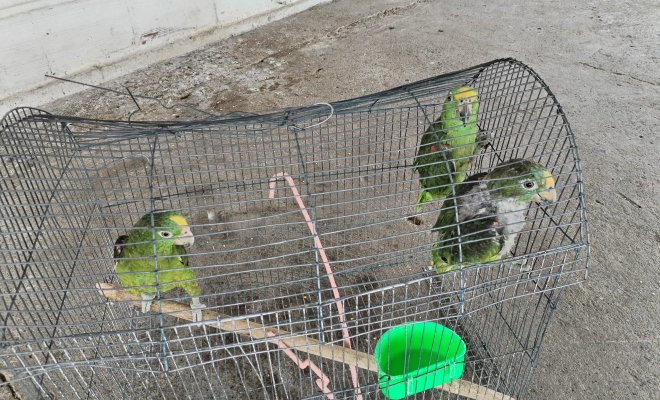 ¡Protejamos juntos nuestra biodiversidad!