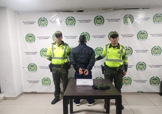 Policía Nacional logra el rescate de dos aves y la captura de un hombre por tráfico de fauna silvestre 