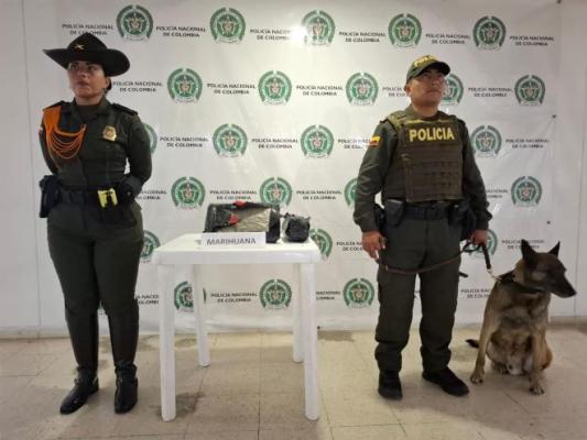 2.7 kilos de marihuana en Pasto