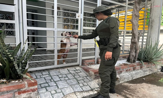 Policía Nacional atiende denuncia ciudadana a través de redes sociales por un posible hecho de maltrato animal
