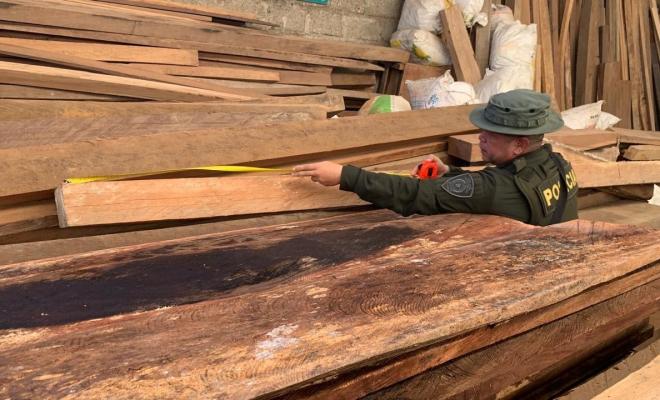 Se logro incautación de 18 metros cúbicos de madera nativa, entre las especies Cedro y Roble.