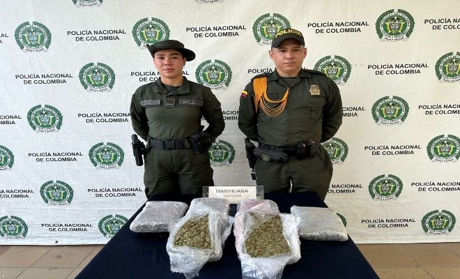 En empresa de mensajería, canino de la Policía Nacional, incauta 10 mil dosis de marihuana