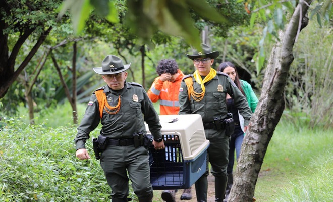 Polic&iacute;as sosteniendo una caja transportadora con aves