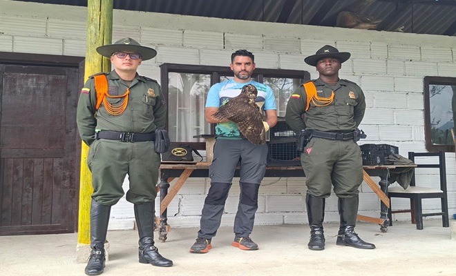 Polic&iacute;as de carabineros y funcionario de Coorpocaldas rescatan animal 