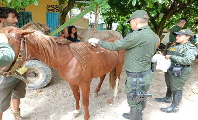 SERVICIO DE VETERINARIA