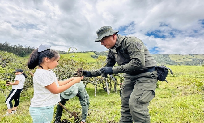 Jornada ambiental de siembra de árboles