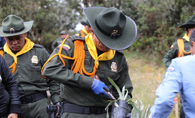 Sembramos 65 mil árboles en todo el país